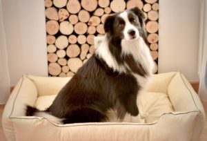 legowisko dla psa beżowe